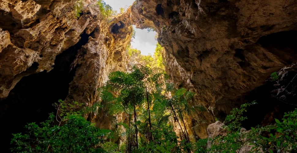 Cel mai vechi schelet uman, descoperit în Thailanda, ar putea rescrie istoria
