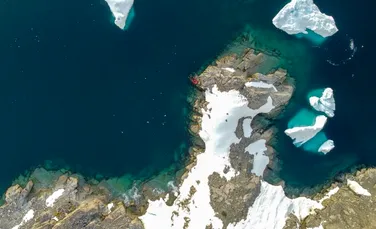 S-a aflat ce anume produce o strălucire misterioasă în Oceanul de Sud