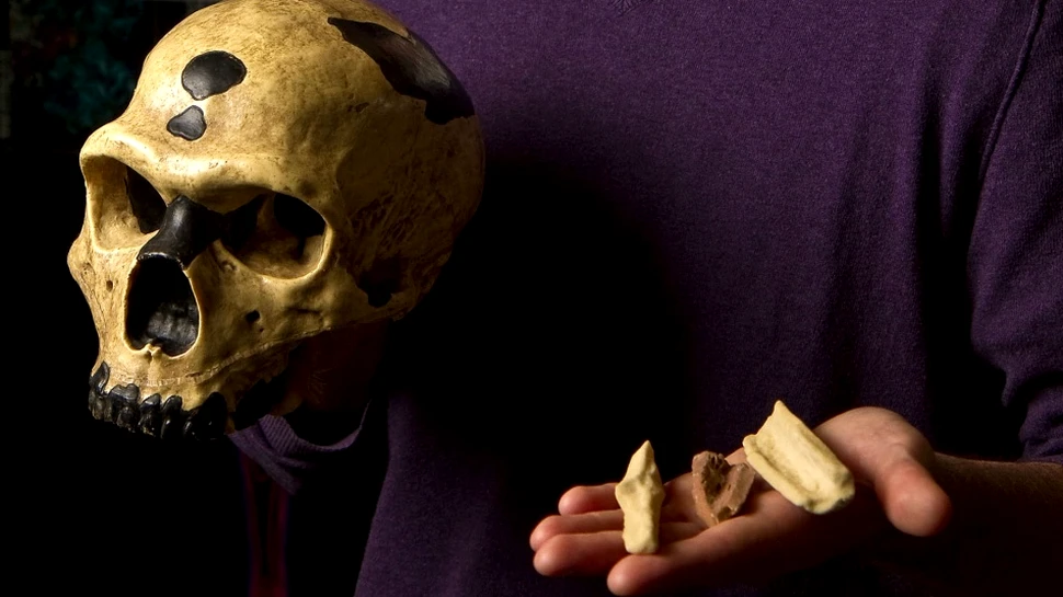 De ce au murit neanderthalienii? Pentru că aveau ochii prea mari!