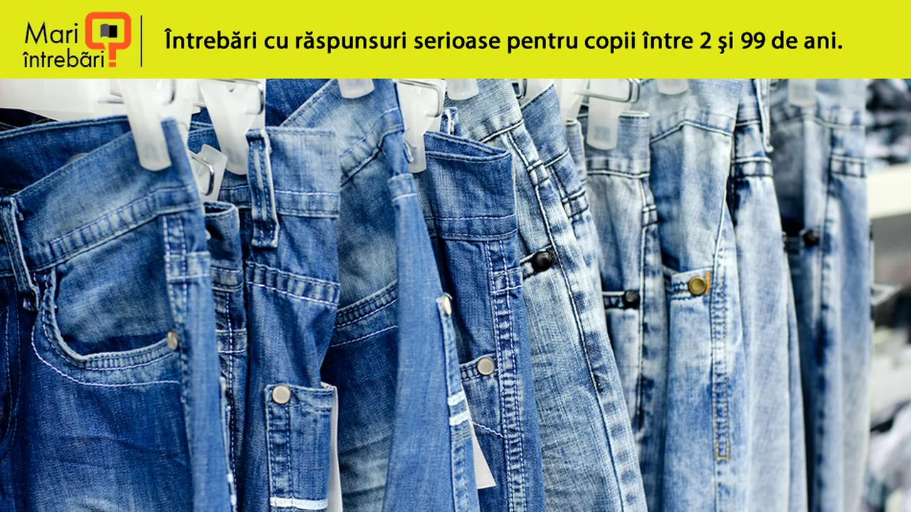 Money rubber stick Dusty Cine a inventat celebrii pantaloni blue jeans?