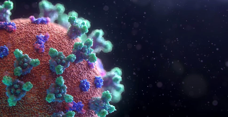 O nouă variantă a coronavirusului, denumită „tulpina Columbus”, a evoluat în Statele Unite