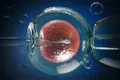 Spermatozoizii și ovulele cultivate în laborator le-ar putea permite în curând părinților să își personalizeze copiii