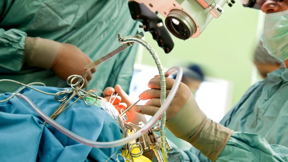 Care sunt simptomele deviaţiei de sept