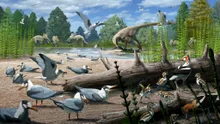 Un studiu a descoperit că păsările au trăit alături de dinozauri în Arctica