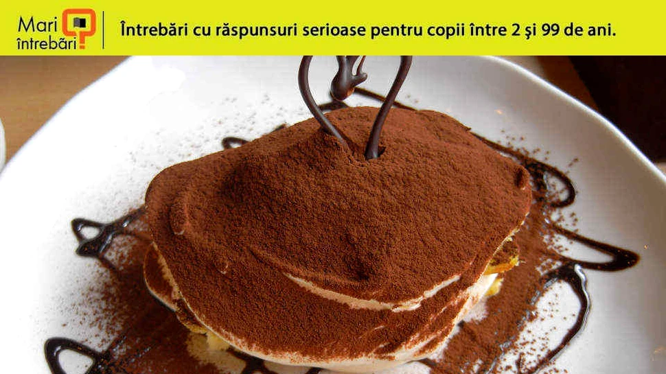 De unde vine tiramisu?