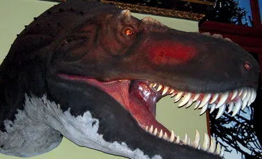 Este oficial: T-rex avea cea mai puternică muşcătură