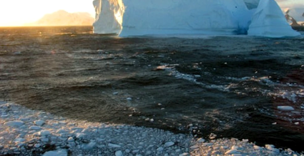 Iceberg-urile pot incalzi planeta ?