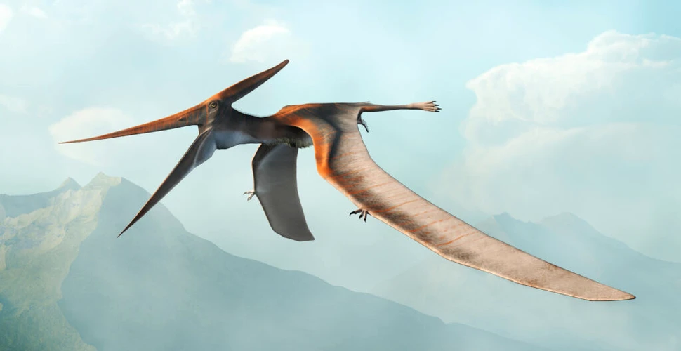O nouă specie de pterozaur a fost descoperită în Africa. De ce este specială?