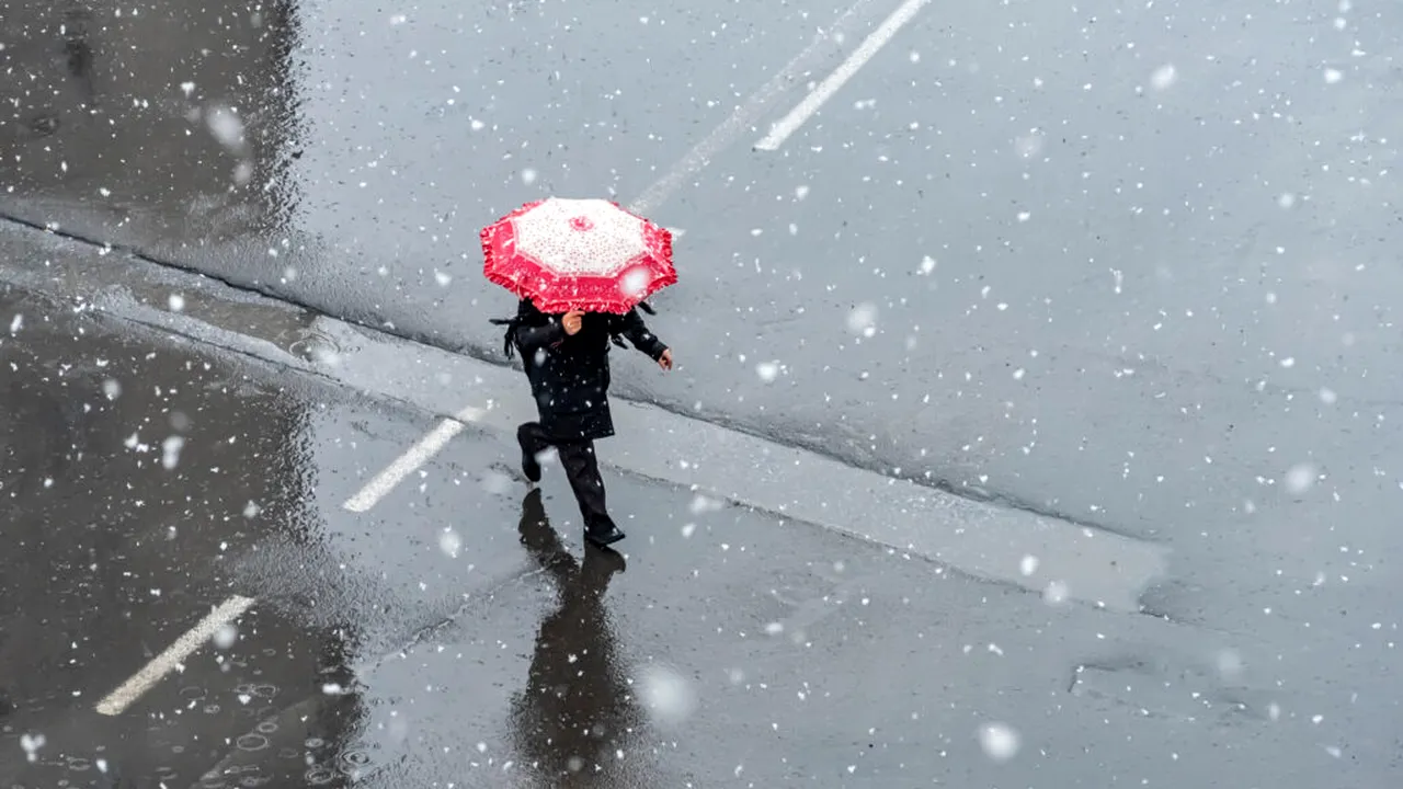 meteorologii 