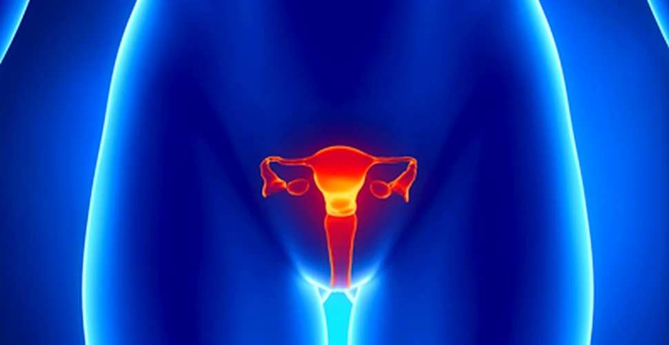 După analizarea a 15.000 de femei s-a descoperit cât de periculoase pot fi ciclurile menstruale neregulate – FOTO