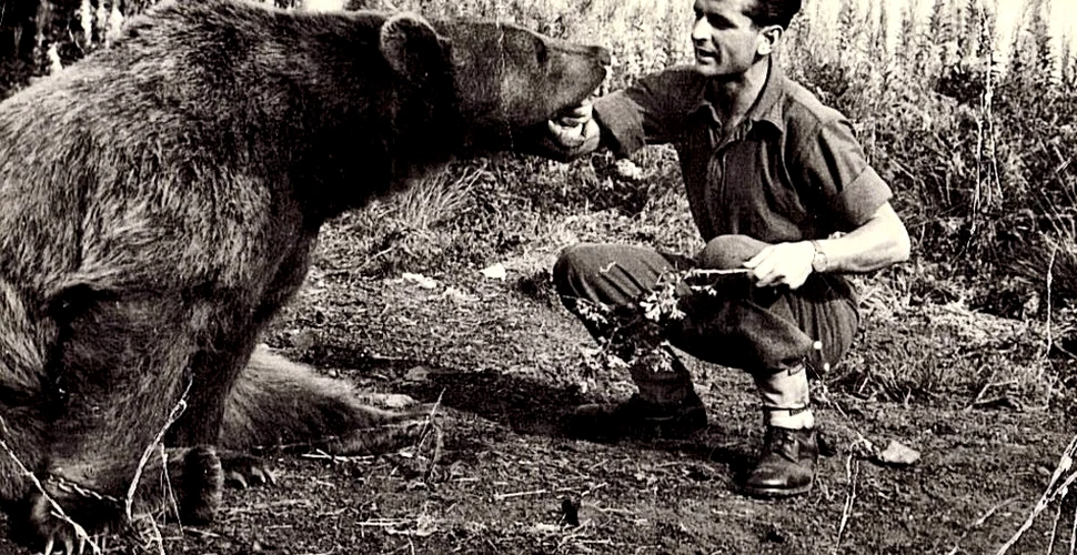Wojtek – ursul care a luptat contra naziştilor