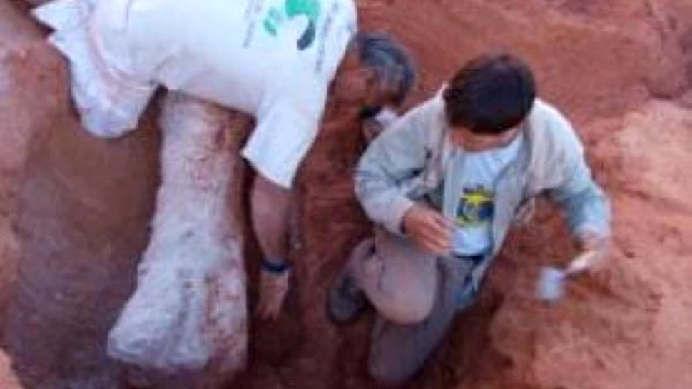 Doua specii noi de dinozauri, descoperite in Sahara