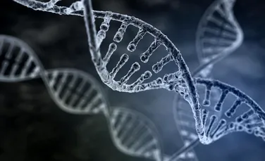 Premieră! ADN-ul mitocondrial poate fi transmis şi de la tată la copil