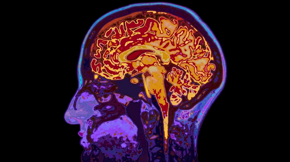 Creierul nostru dezvăluie alegerea noastră chiar înainte să fim conştienţi de ea