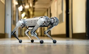 Ghepardul robotic de la MIT a învățat cum să sară. Inginerii au creat un sistem inovator pentru asta