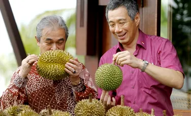 Cel mai urât mirositor fruct din lume: durianul! Oamenii de ştiinţă încearcă să-i afle „secretele chimice”