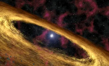 13 pulsari noi au fost descoperiți folosind radiotelescopul MeerKAT