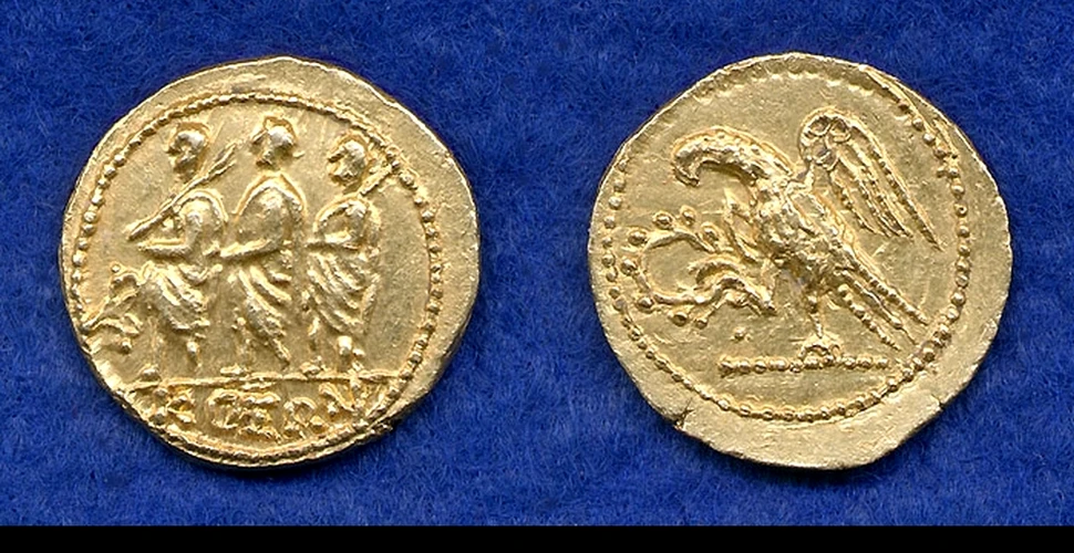 Descoperire uluitoare: 140 de monede dacice din aur au fost găsite de copii într-o vizuină de vulpe
