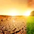 Avertisment: Criza climatică ar trebui declarată urgență globală de sănătate publică