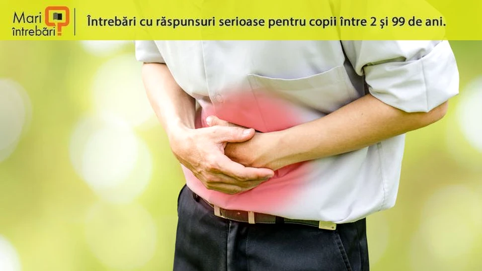 De ce loviturile în testicule provoacă dureri abdominale?