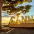 Un palmier s-a prăbușit peste un producător de film la Festivalul de la Cannes