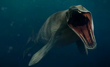 Mozazaurii, prădătorii feroce de pe vremea dinozaurilor care dominau oceanele