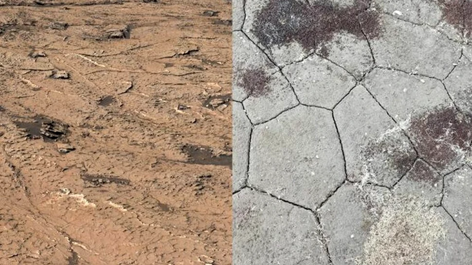 Oamenii de știință au descoperit urme ale unei clime sezoniere pe Marte