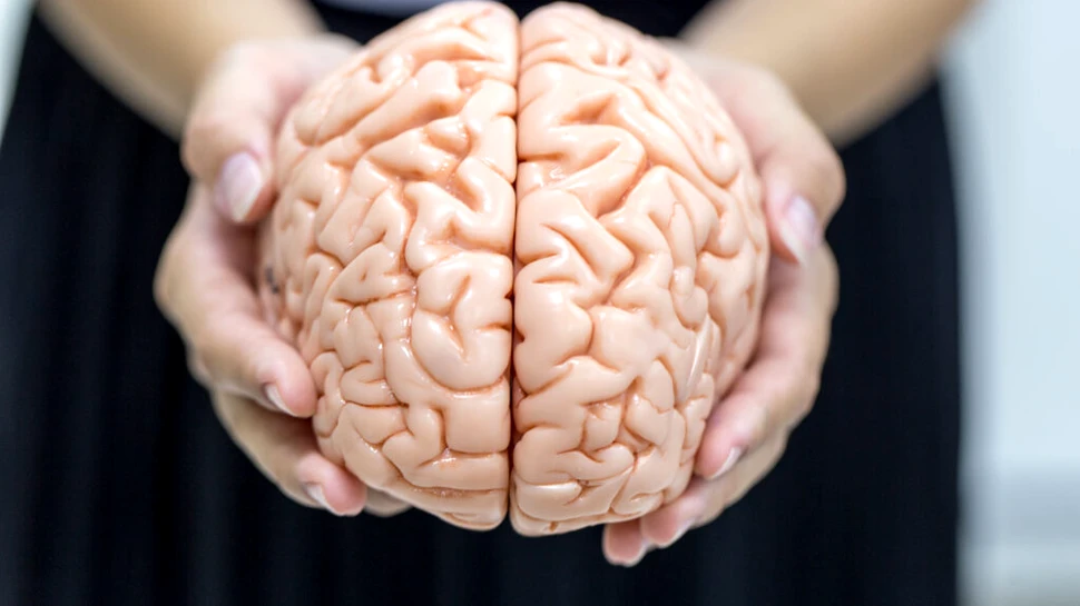 Test de cultură generală. Cât la sută folosim din creier?