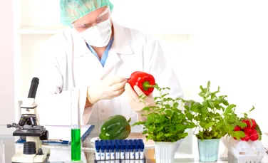 Parlamentul European permite statelor să interzică organismele modificate genetic
