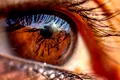 Ochii pot prezice demența cu 12 ani înainte de diagnostic