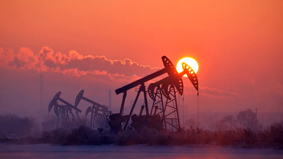 Ce este mai rău pentru animalele sălbatice, parcurile eoliene sau forajele petroliere?