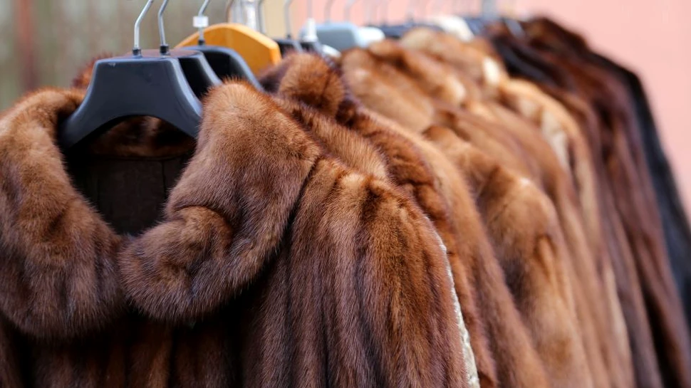 Prada, celebra casă de modă de lux, renunţă la blănuri