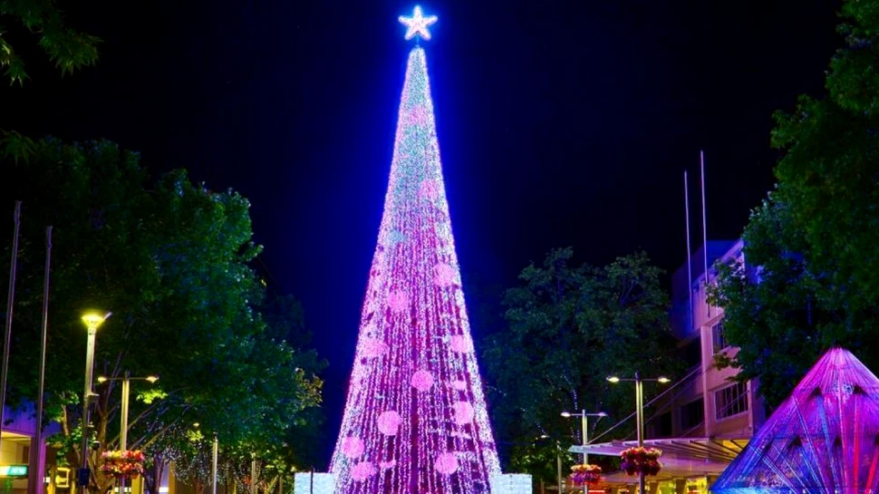 Bradul de Crăciun care a intrat în Cartea Recordurilor – VIDEO