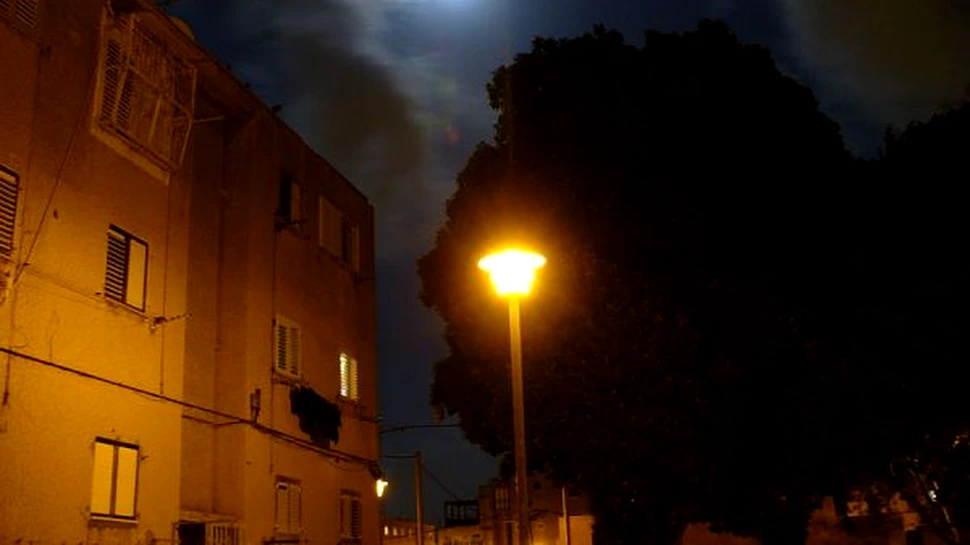 Poluarea luminoasa dauneaza grav sanatatii liliecilor