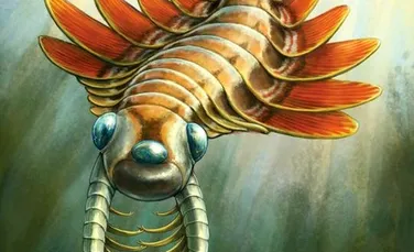 Un prădător bizar cu trei ochi exista în oceanele lumii acum jumătate de miliard de ani