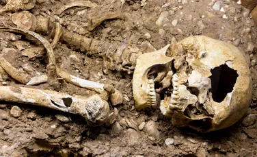 Un craniu de lup, depus de hoți într-un mormânt din Dobrogea pentru a se proteja de spiritul celui mort