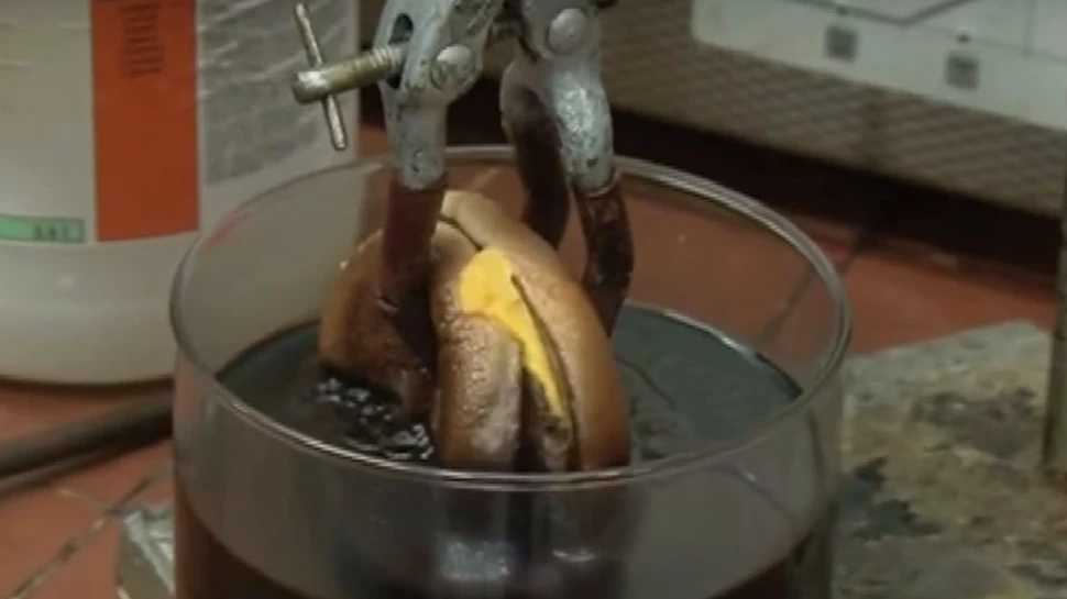 Ce se întâmplă dacă pui un cheeseburger în acid hidrocloric. VIDEO
