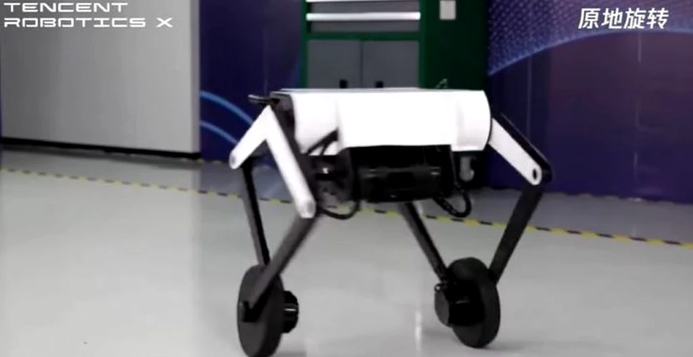 Ollie, robotul foarte simpatic care calcă pe urmele roboților de la Boston Dynamics