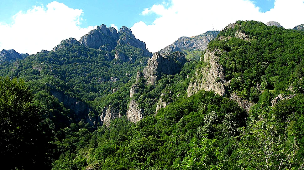 Parcul Naţional Cozia ar putea intra în patrimoniul UNESCO