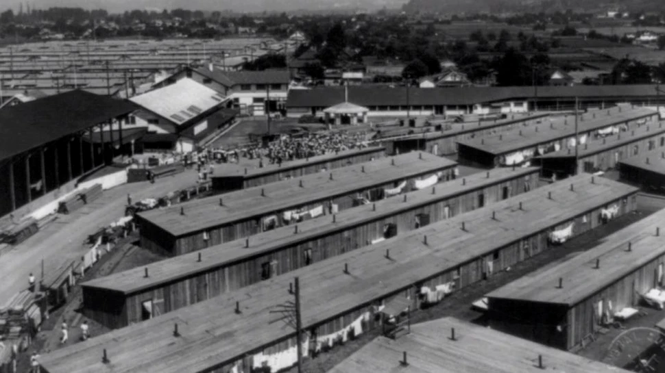 Atrocităţile Aliaţilor din cel de-Al Doilea Război Mondial. Detaliile care nu au fost scrise în cărţile de istorie