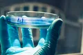 Celulele canceroase crescute în laborator diferă foarte mult de cele care apar în corpul uman