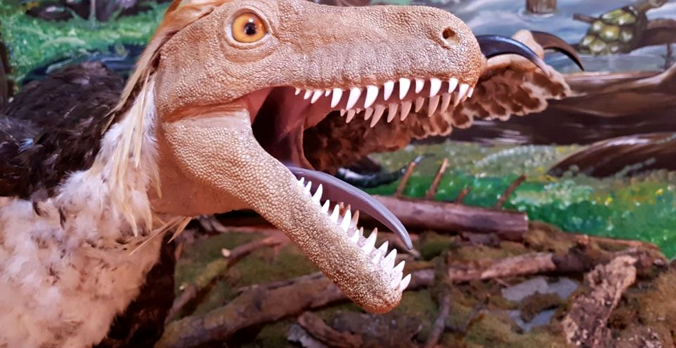Festivalul Dinozaurilor 2018, descoperirea valorilor Geoparcului din Ţara Haţegului