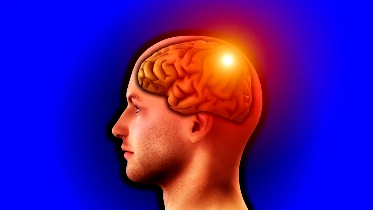 1-2802747-publimedia-shutterstock 