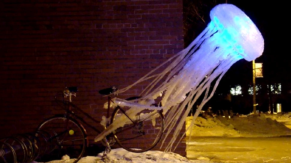 Inedit: sculpturi din scotch