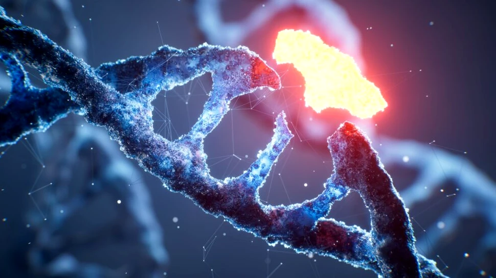 Un bărbat infectat cu HIV s-a vindecat complet datorită unei mutații genetice rare