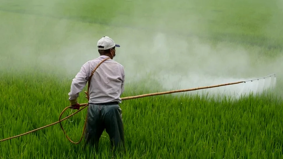 Bayer va plăti o sumă uriașă pentru a soluționa plângerile legate de glifosat, un erbicid controversat
