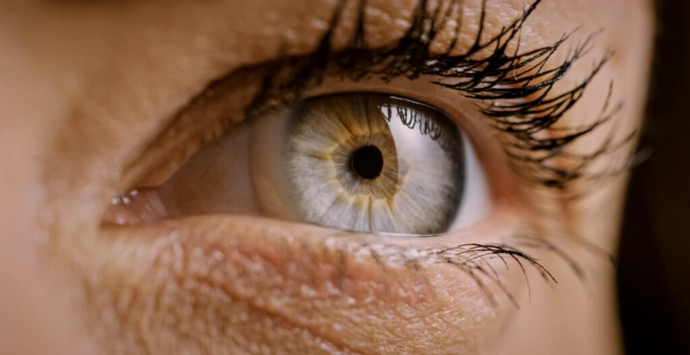 Ochii noștri pot păcăli creierul să facă presupuneri inexacte, arată un studiu