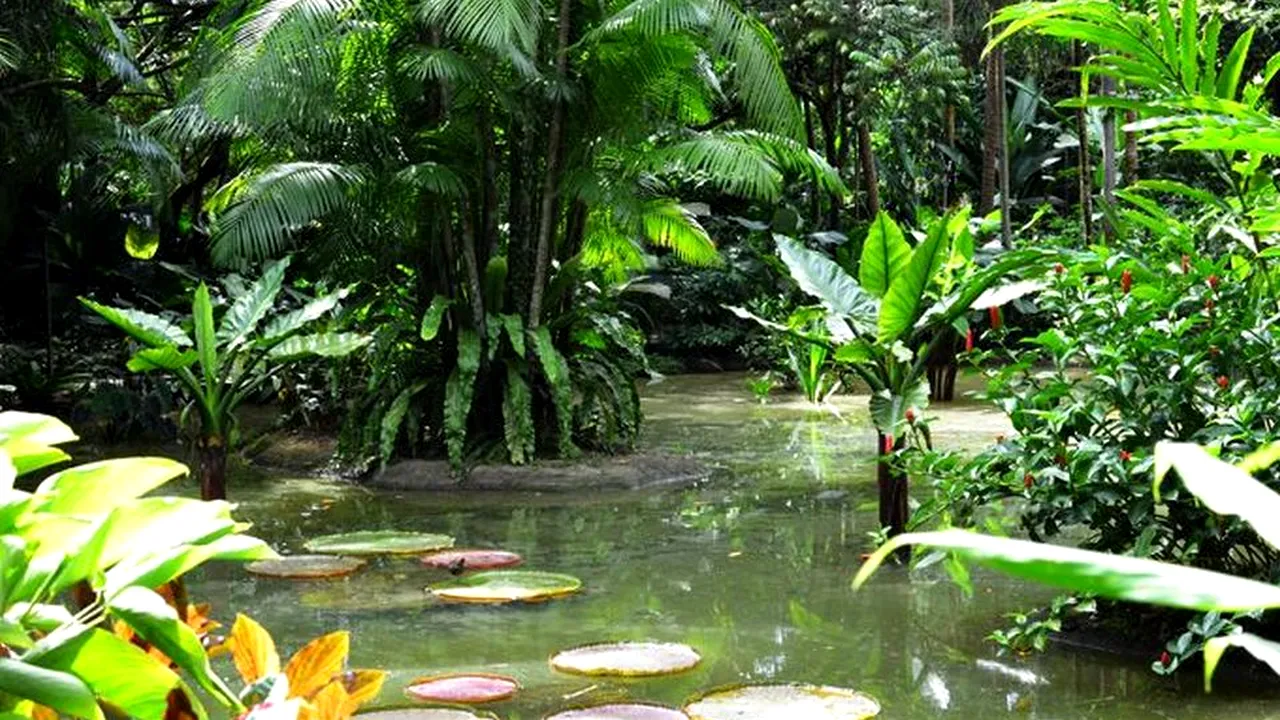 1-652x450-123590-gradina-botanica-din-singapore-un-loc-unic-in-lum 