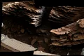 Roverul Curiosity al NASA a surprins imagini uluitoare cu peisajul schimbător de pe Marte