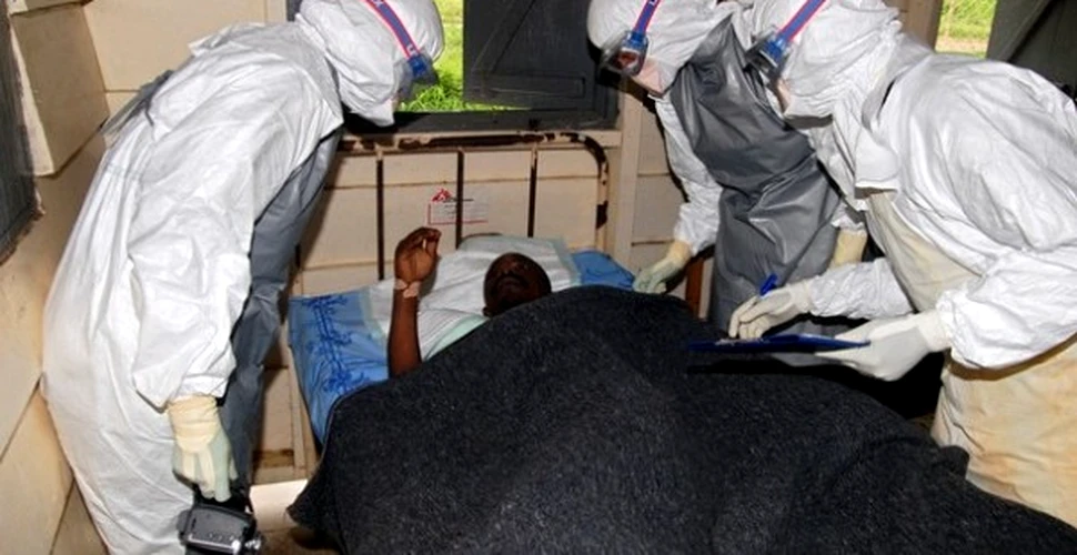 O noua tulpina a virusului Ebola ameninta omenirea